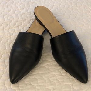 Everlane Black Slides